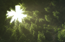 <p>The university research team has achieved a major breakthrough that will impact future studies.</p>